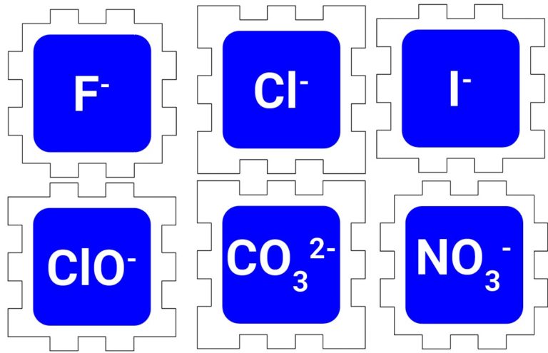 anions-corte-illustrator1