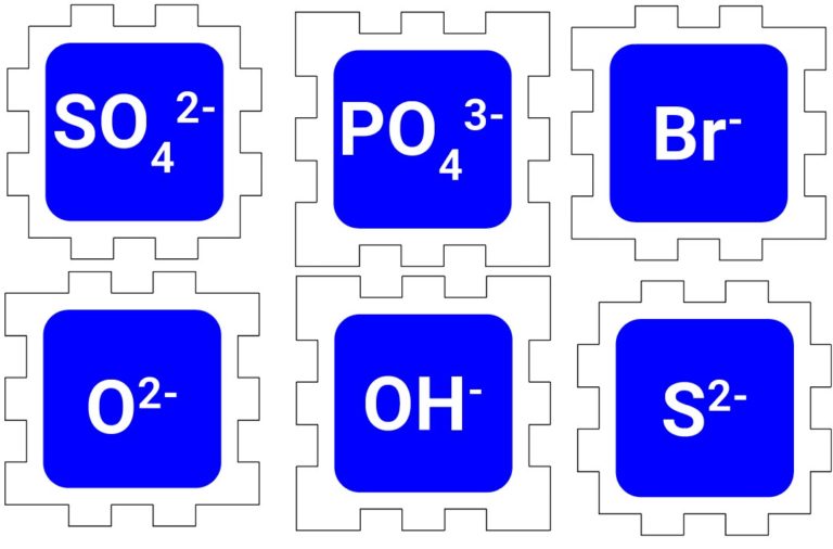 anions-corte-illustrator2